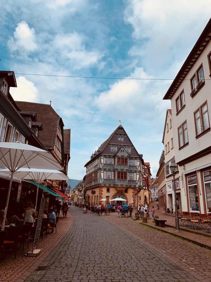 Ferienwohnung Am Brunnen Großheubach Zewnętrze zdjęcie